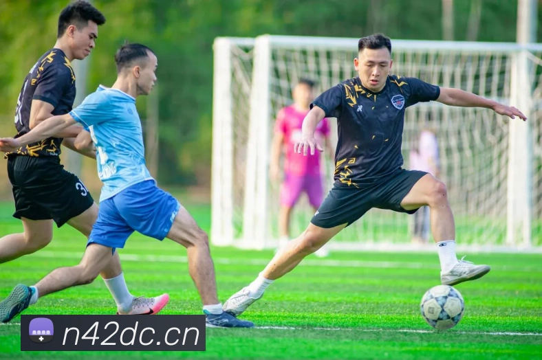 leyu官网入口服务体系